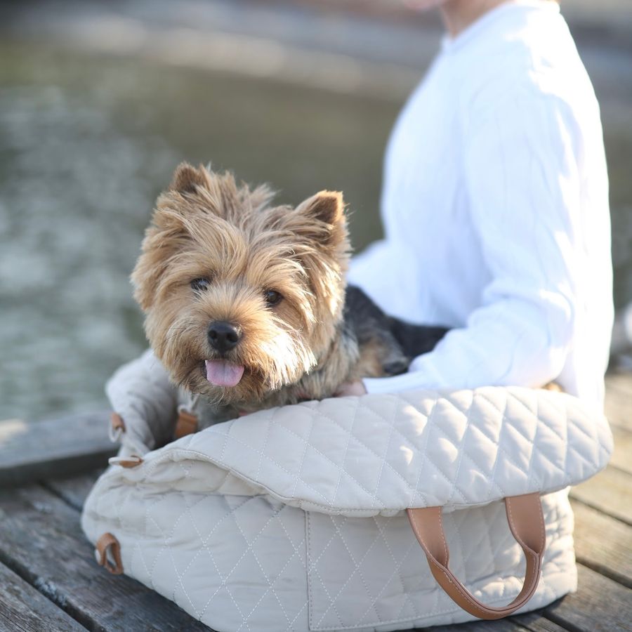 Beige 3-in-1 Pet Carrier